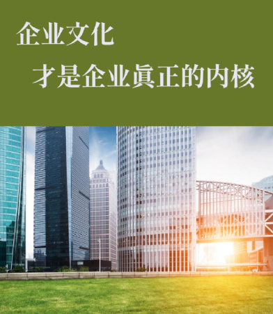 企业官网与业务管理系统开发：凌创天宇软件系统外包服务流程详解